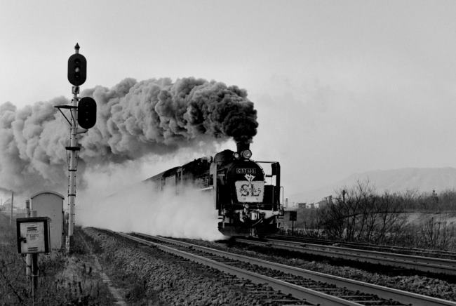 �����{���@����w-���V�w��