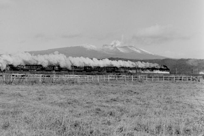 �����{���@���V�w-�Б�w��