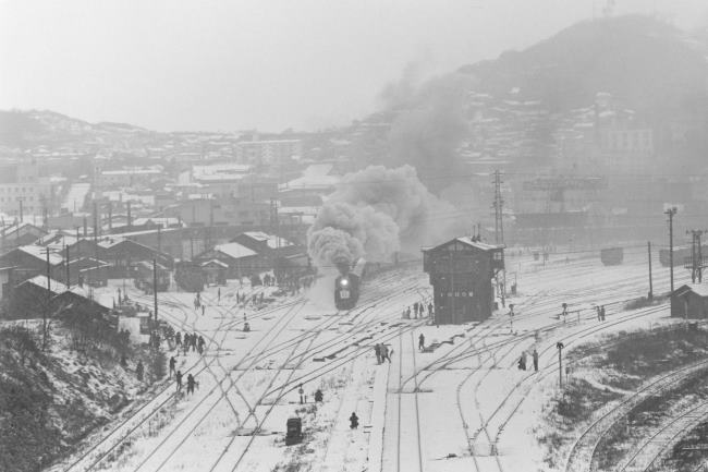 �����{���@�����w