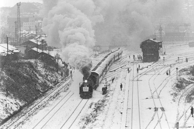 �����{���@�����w