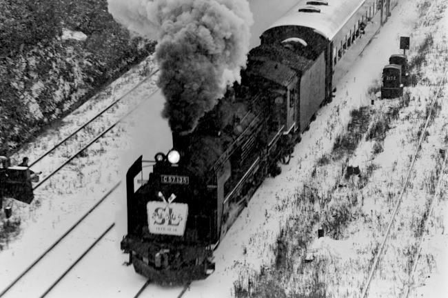 �����{���@�����w