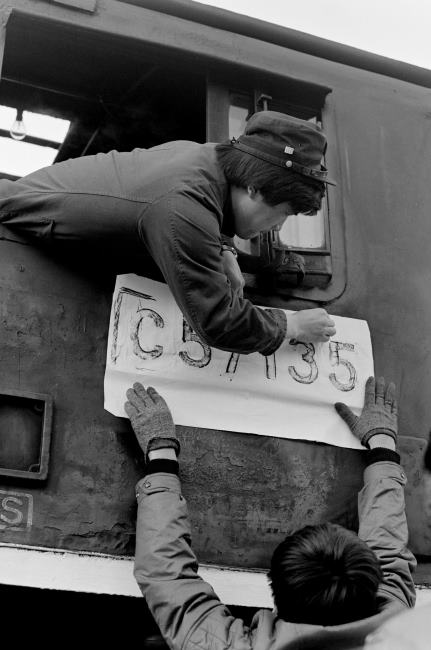 �����{���@�〈��w