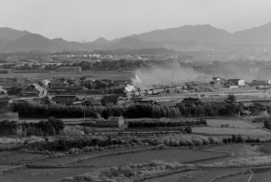 �������肩���d�H���W�@�R�A�{���E�g���w-���]�w�ԁED51720+D51612