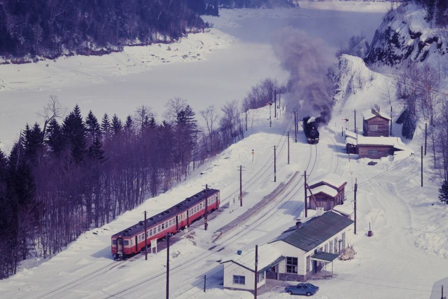 �������肩���d�H���W�@�m�y���E�f���w��Ԍ������i�E39670